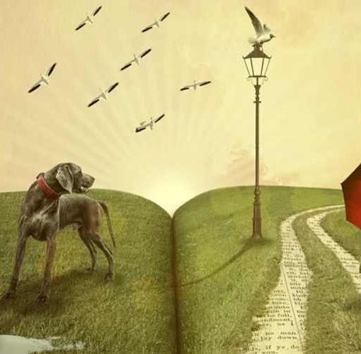 Premios literarios en lingua galega O Facho 2022