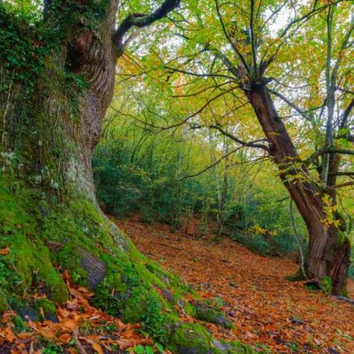 Ciclo de palestras terra e futuro