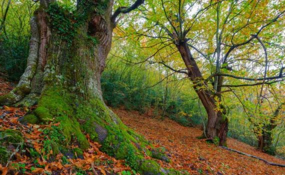 Ciclo de palestras terra e futuro