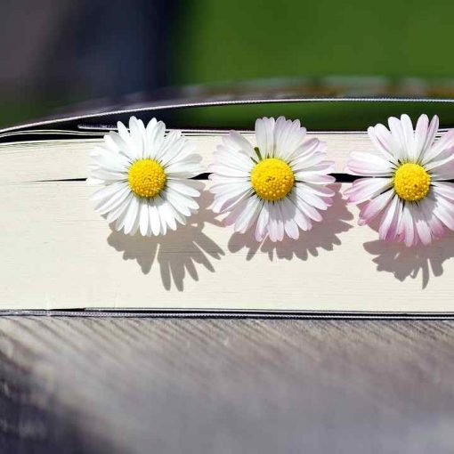 Premios literarios O Facho 2023