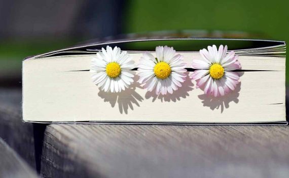 Premios literarios O Facho 2023